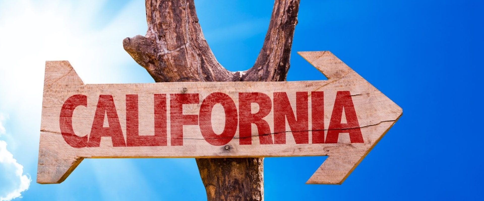 Approved In-Person Traffic Schools in California