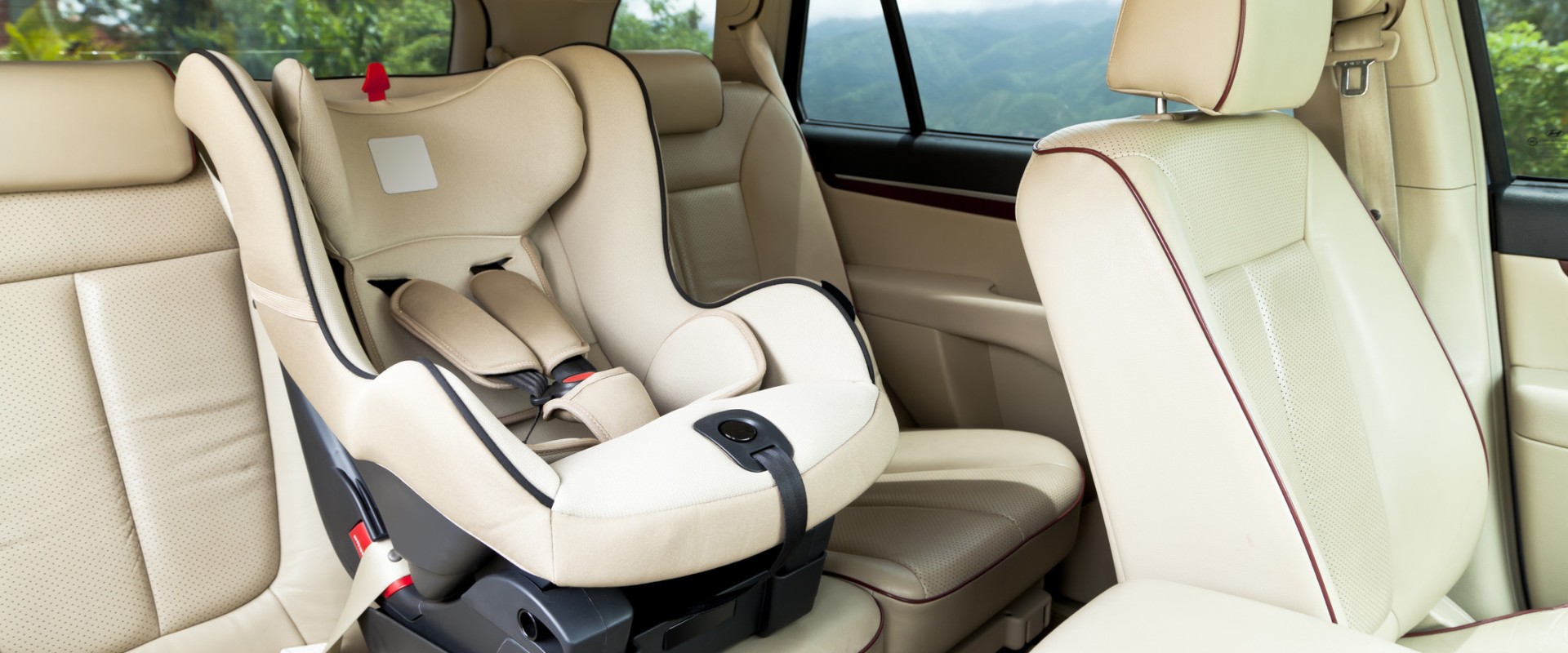 California Seatbelt Laws: Understanding Requirements and Penalties