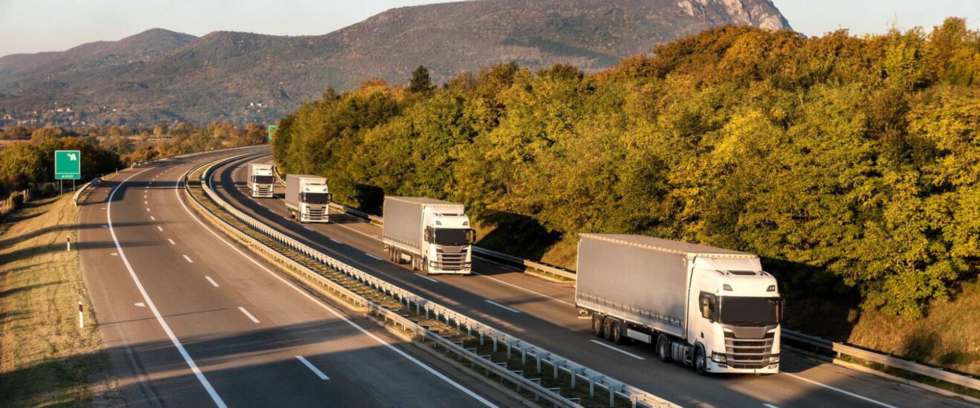 Everything You Need to Know About Speed Limits in California