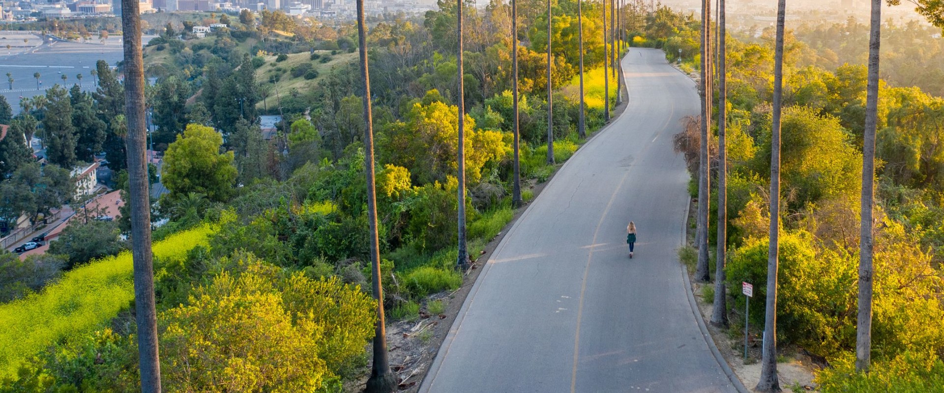 Everything You Need to Know About California License Suspension
