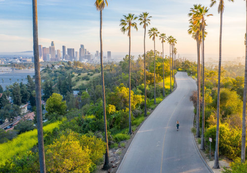Everything You Need to Know About California License Suspension